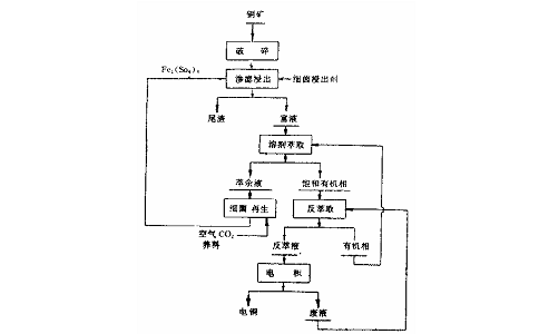 浸出矿物的方法有哪些？